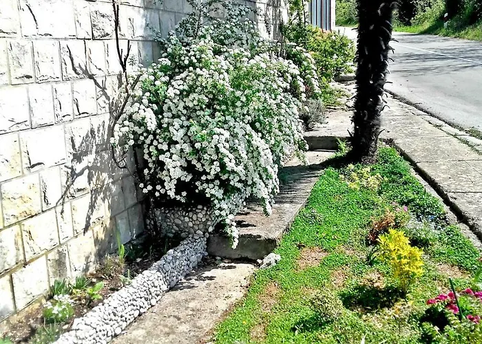 Friendly Апартаменты