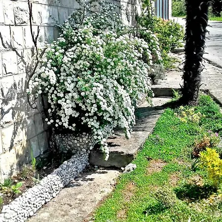 Friendly Apartman